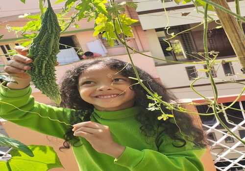 Terrace Garden Services Provider in Noida